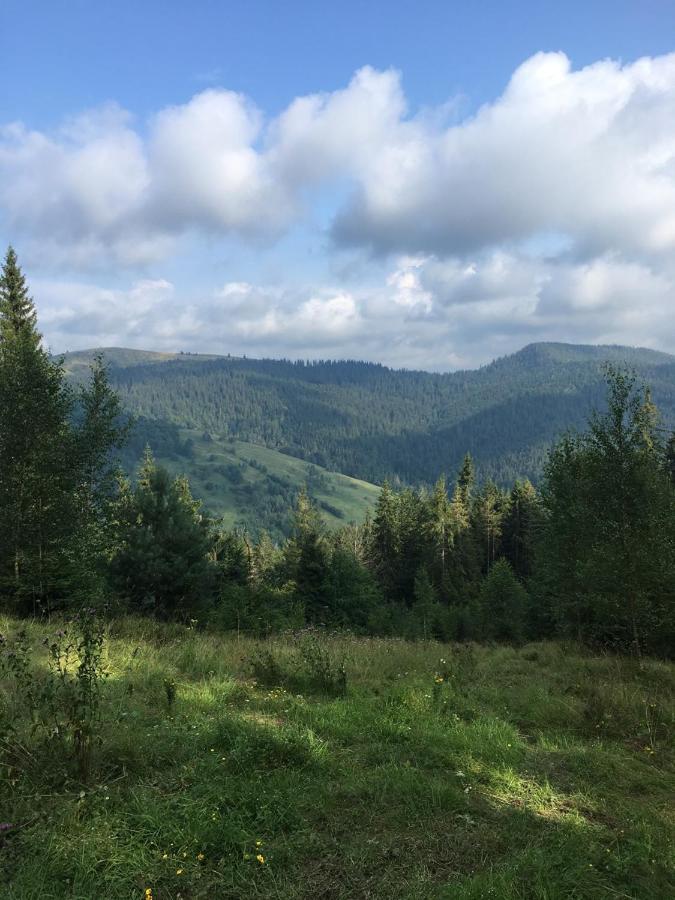 Котедж "У Бойка" Mykulychyn Exterior photo